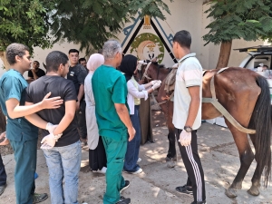 تواصل تنفيذ القوافل البيطرية بالمشاركة مع المستشفى البيطري التعليمي بالكلية