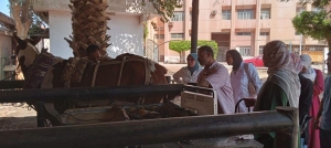 أسبوع جديد من العطاء داخل المستشفى البيطري التعليمي بجامعة بنها