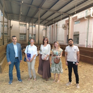 **كلية الطب البيطري بجامعة بنها تستقبل وفدًا من جامعة كريزيفيتشي الكرواتية لبحث آفاق التعاون الأكاديمي والبحثي**