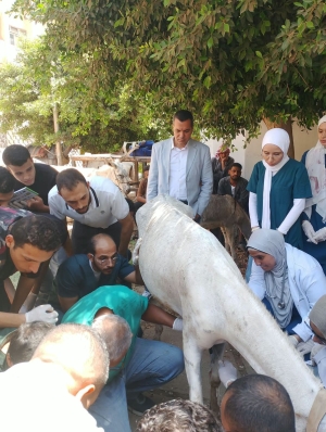 استمرار تنفيذ القوافل البيطرية بالمستشفى البيطري التعليمي بكلية الطب البيطري – جامعة بنها بالتعاون مع مؤسسة الجسر المصري للإعلام والتنمية