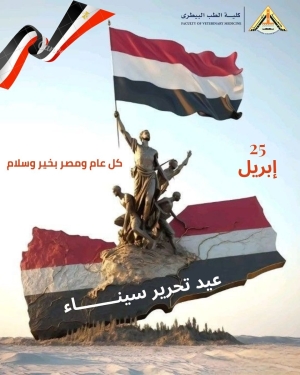 تهنئة بمناسبة ذكرى تحرير سيناء