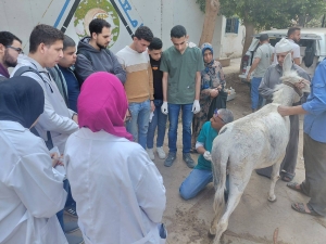 إستمرار تنفيذ ااقوافل البيطرية داخل المستشفى البيطري التعليمي بالكلية بالتعاون مع مؤسسة الجسر المصري للإعلام والتنمية