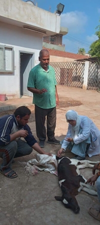 نشاط المستشفى البيطري التعليمي بكلية الطب البيطري – جامعة بنها
